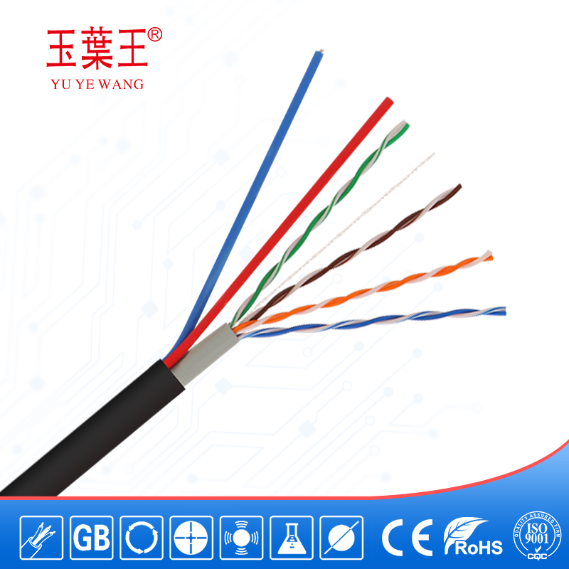 (中文) 超五类网线+电源线