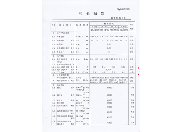 Testing Report
